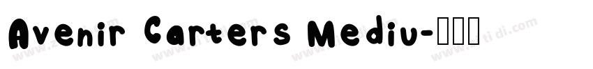 Avenir Carters Mediu字体转换